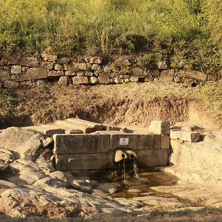 Viela Premium バルセロス